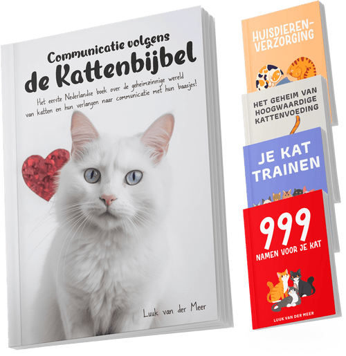 Communicatie volgens de Kattenbijbel (boek)