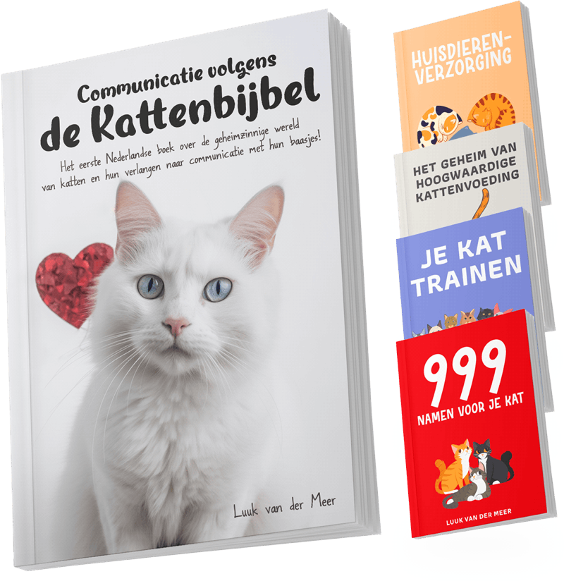 Communicatie volgens de Kattenbijbel (boek)